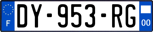 DY-953-RG