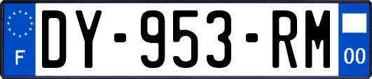 DY-953-RM