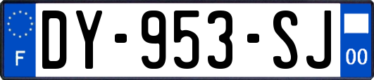 DY-953-SJ