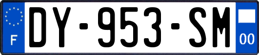 DY-953-SM