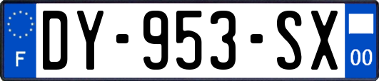 DY-953-SX