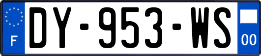 DY-953-WS