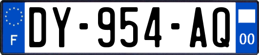 DY-954-AQ