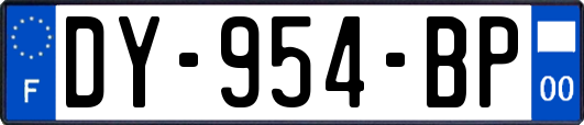 DY-954-BP