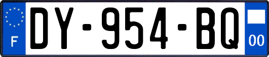 DY-954-BQ