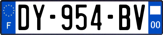 DY-954-BV