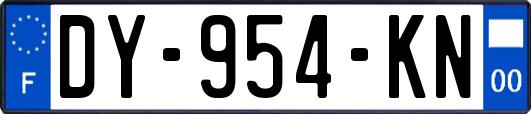 DY-954-KN
