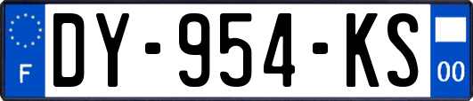 DY-954-KS