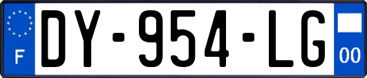 DY-954-LG