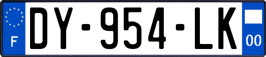DY-954-LK