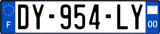 DY-954-LY
