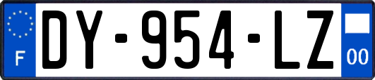 DY-954-LZ