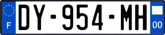 DY-954-MH