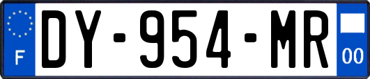 DY-954-MR