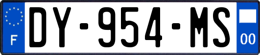 DY-954-MS