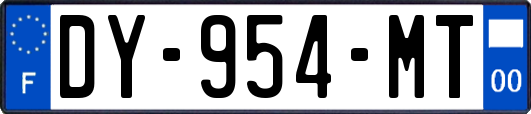 DY-954-MT