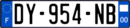 DY-954-NB