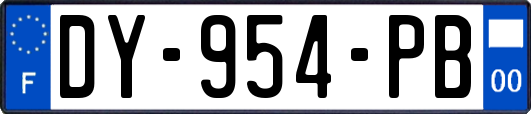 DY-954-PB