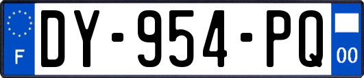 DY-954-PQ