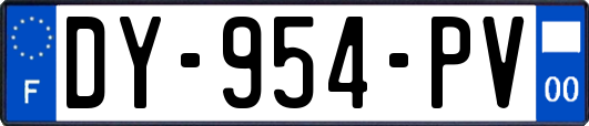 DY-954-PV