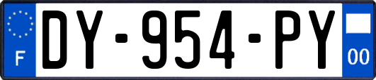 DY-954-PY
