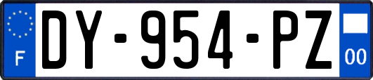 DY-954-PZ