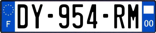 DY-954-RM