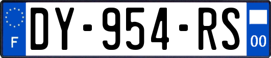 DY-954-RS