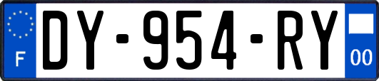 DY-954-RY