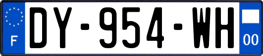 DY-954-WH