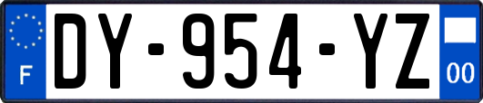 DY-954-YZ
