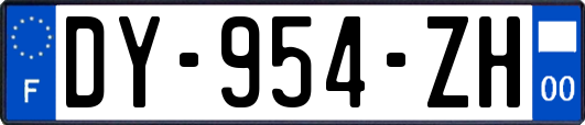 DY-954-ZH