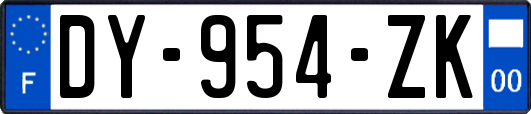 DY-954-ZK