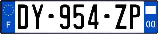 DY-954-ZP