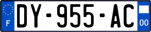 DY-955-AC