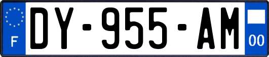 DY-955-AM