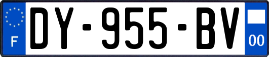 DY-955-BV