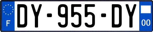 DY-955-DY