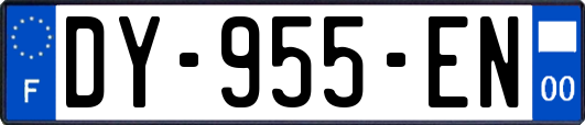 DY-955-EN