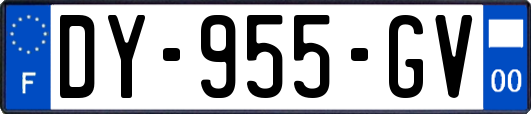 DY-955-GV