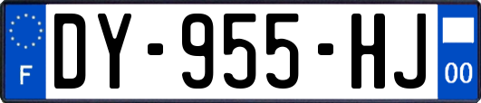 DY-955-HJ