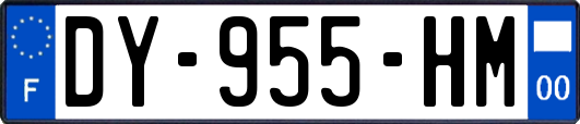 DY-955-HM