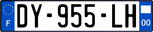 DY-955-LH