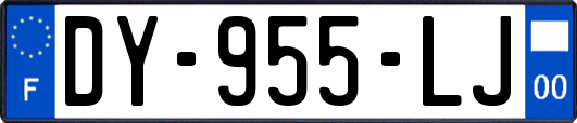 DY-955-LJ