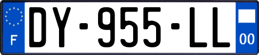 DY-955-LL