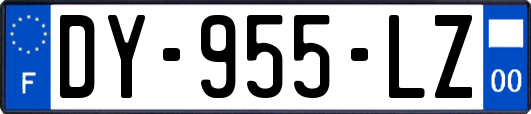 DY-955-LZ