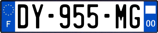 DY-955-MG