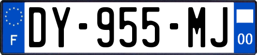 DY-955-MJ