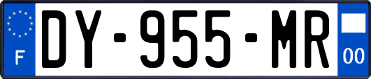 DY-955-MR