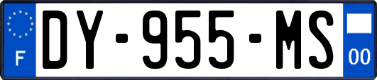 DY-955-MS